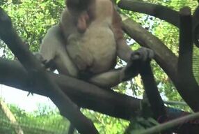 Jamie Marleigh gets wet and wild in Singapore with her petite pussy and tight clit