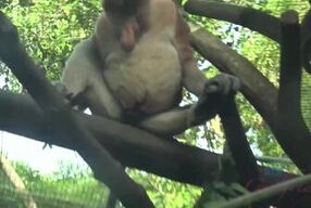 Jamie Marleigh's POV on a virtual trip to Singapore with her boyfriend