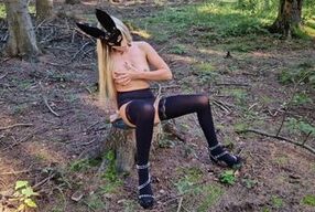 Wyruchany króliczek w lesie