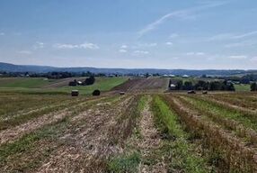 Ja po prostu lubię sex