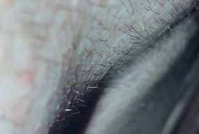 Ange in fishnet body stockings blows Loco Cum in mouth