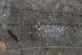 Late night outside piss play