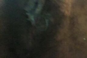 The pussy of all pussies pt. 5 (song: Travis scott's verse on Type Shit by Future)