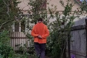 Evening in the garden