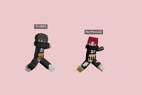 FLUBOR and Meri Dance