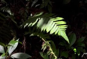 ME CORRO! Que rico se humedecen mis dedos con el cum de mi novia en el río