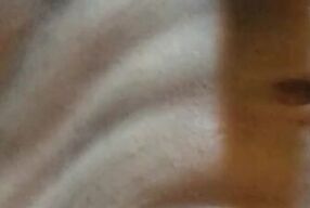 Gozei pra caralho!????????