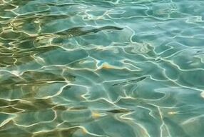 ???????????? PERFECT BABE WANTS CREAMPIE