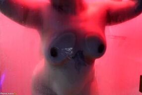 Chatting wife fucked in the motel by her Boss!!