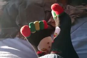 Toesocks teaser