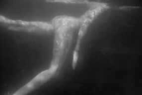 Romantic Underwater Art Video