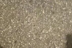 Naughty Girl Squats in her driveway and unleashes her Powerful Piss Fountain for the public to see